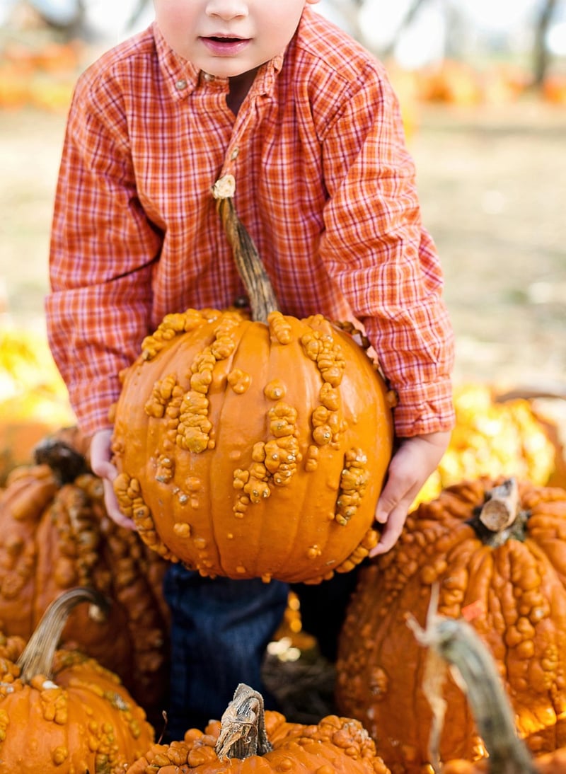 Pumpkins in Fall